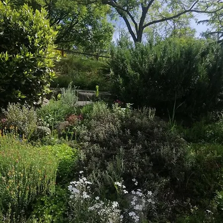 Clara's Garden Bed & Breakfast