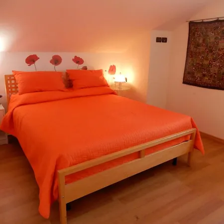 Clara's Garden