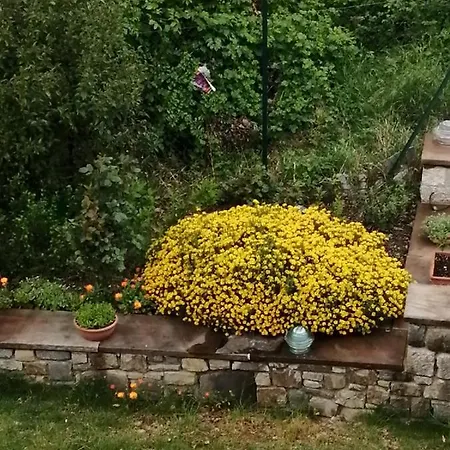 Clara's Garden *